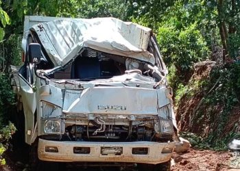 Camión cargado de tayotas se vuelca en Manabao; varias personas resultan heridas