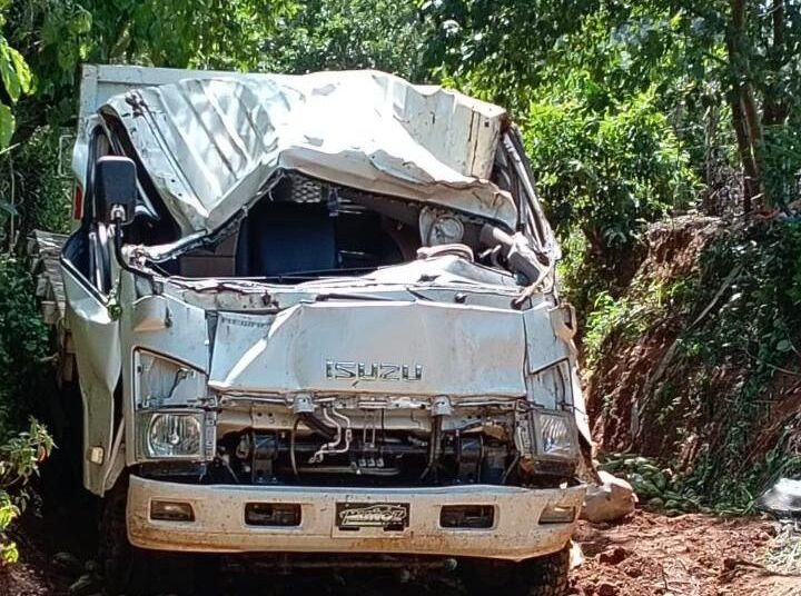 Camión cargado de tayotas se vuelca en Manabao; varias personas resultan heridas