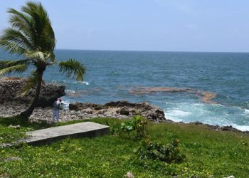 Rastros de sargazo llegan al Malecón de Santo Domingo