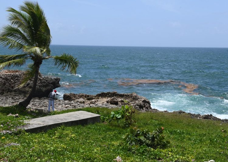 Rastros de sargazo llegan al Malecón de Santo Domingo