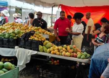 Pese a las lluvias, cientos de visitantes disfrutan de la Feria del Mango en Baní