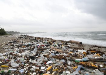 Basura y sargazo deterioran la playa Los Gringos en Bajos de Haina