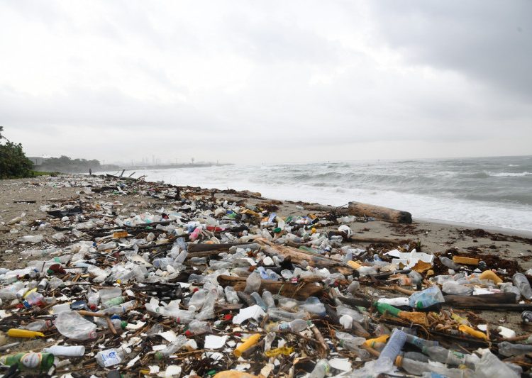 Basura y sargazo deterioran la playa Los Gringos en Bajos de Haina