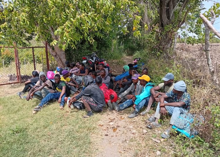 El Ejército detiene a 35 haitianos sin papeles en las montañas de El Cercado