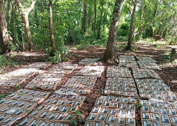 Ejército de Nicaragua incauta 475 paquetes de cocaína cerca de frontera con Costa Rica