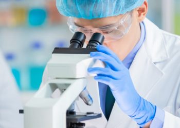 ¡La muerte no fue el final! nacen tres cabras por fecundación in vitro de animales muertos