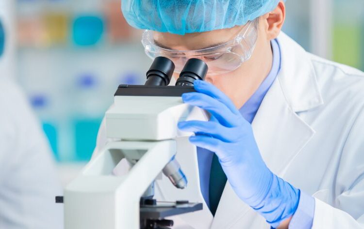 ¡La muerte no fue el final! nacen tres cabras por fecundación in vitro de animales muertos