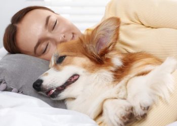 Dormir con mascotas: estudios revelan beneficios emocionales, pero también riesgos