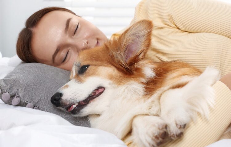 Dormir con mascotas: estudios revelan beneficios emocionales, pero también riesgos