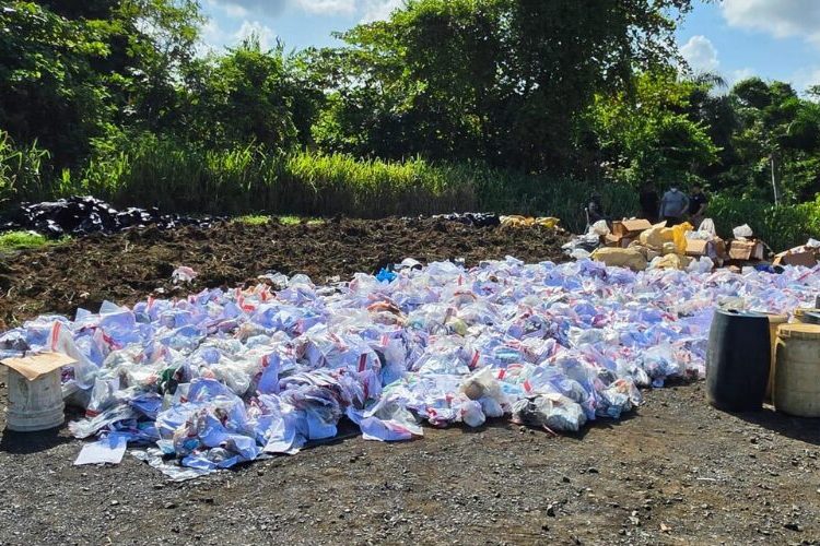 El Inacif destruye más de 3 toneladas de drogas