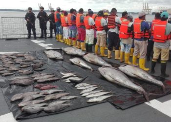 Día Internacional de la Lucha Contra la Pesca Ilegal no declarada y no reglamentada