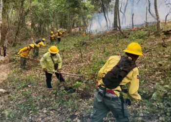 Medio Ambiente controla incendio forestal en Bonao y mantiene vigilancia en Sierra de Bahoruco