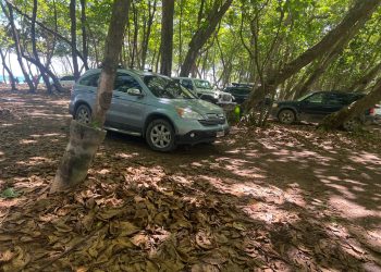 Negocios de Playa Encuentro piden para frenar entrada de vehículos a la costa