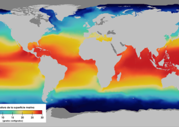 La temperatura global de la superficie del mar bate récords en junio, indica Copernicus