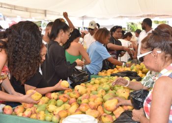 Expo Mango 2026 cierra con éxito y fortalece su impacto en negocios y proyección internacional