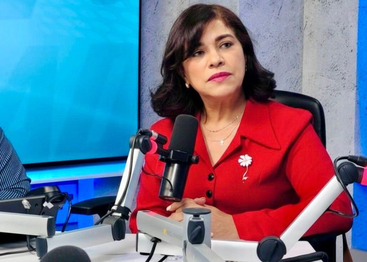 Fuerza del Pueblo: “Nuevo plan del Ministerio de Interior y Policía confirma el fracaso del Gobierno”