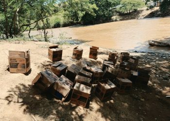 Ejército ocupa contrabando de aceite de motor introducido desde Haití en canoas a Pedro Santana