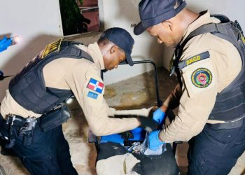 Nueve detenidos y miles de gramos incautados en allanamientos en Santo Domingo Oeste