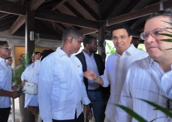 “¡Llegó David!” Militantes del PRM reciben a David Collado entre aplausos y consignas presidenciales