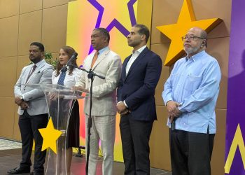 PLD alerta que Código Penal, Ley DNI y regulación de medios amenazan la libertad de expresión