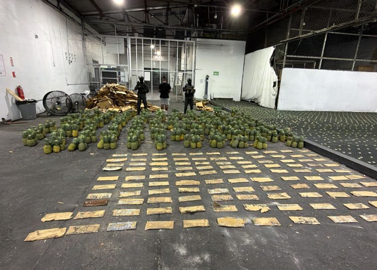 DNCD incauta piñas con 121 láminas de presunta cocaína y arresta a un hombre