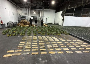 DNCD ocupa 31 kilos de cocaína en láminas durante operativo en el AILA