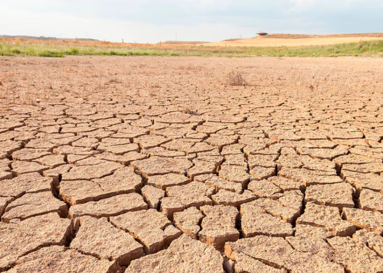 El Niño se consolida en Asia-Pacífico y enciende alertas por sequías y crisis agrícola