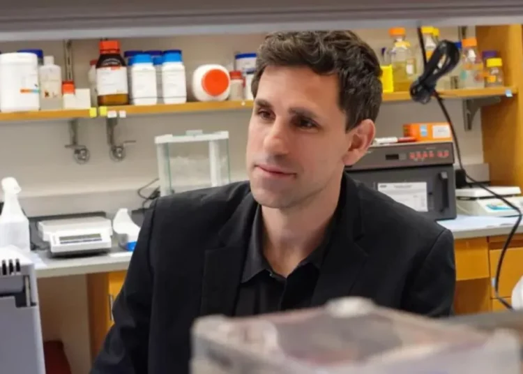 Investigador español abre una vía innovadora para descubrir nuevos antibióticos