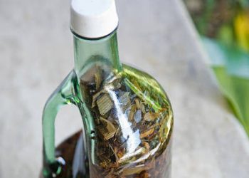 Nuevo Código Penal penaliza uso de botellas como brebajes para inducir abortos