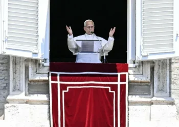 El papa agradece y anima a quienes ayudan en Venezuela tras el terremoto