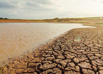 La tierra nos necesita: El 17 de junio se conmemora el Día Mundial de Lucha contra la Desertificación y la Sequía