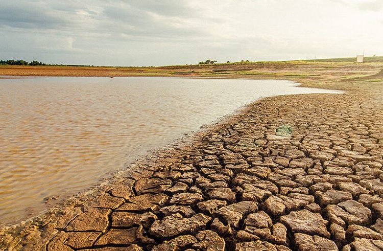 La tierra nos necesita: El 17 de junio se conmemora el Día Mundial de Lucha contra la Desertificación y la Sequía