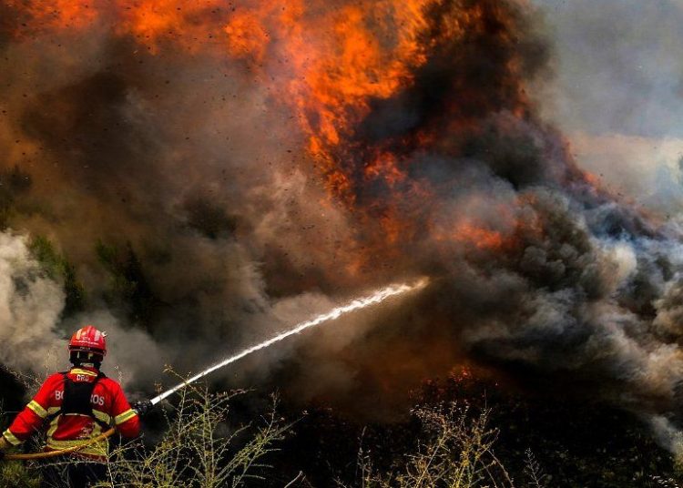 Incendios arrasan un 32 % más de superficie forestal en la UE que hace un año