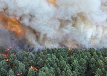 Detienen a un séptimo sospechoso por los incendios de Fontainebleau, al sureste de París