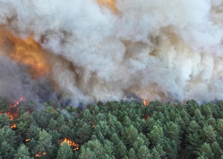 Detienen a un séptimo sospechoso por los incendios de Fontainebleau, al sureste de París