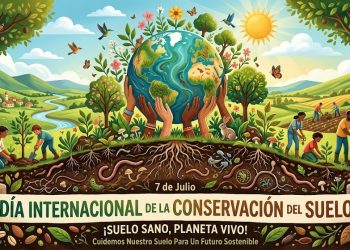 Día Internacional de la Conservación del Suelo: una fecha para proteger la base de la vida en el planeta