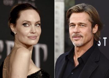 Angelina Jolie se niega a entregar registros financieros a Brad Pitt en la disputa por el viñedo francés