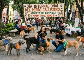 Día Mundial del Perro Callejero: una fecha para promover la protección y adopción responsable