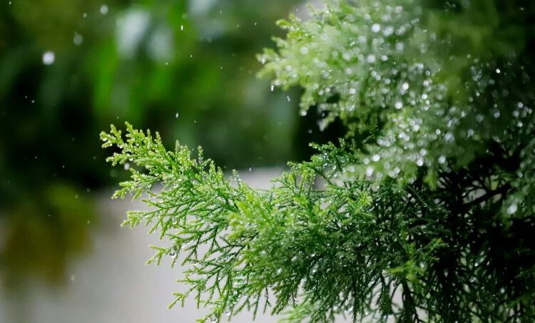 Indomet prevé disminución de las lluvias y aumento del polvo del Sahara
