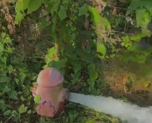 Crece la indignación en Las Galeras por el presunto desperdicio de agua potable