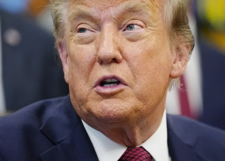 Un tribunal de EE.UU. bloquea una orden de Trump para restringir el voto por correo antes de las elecciones