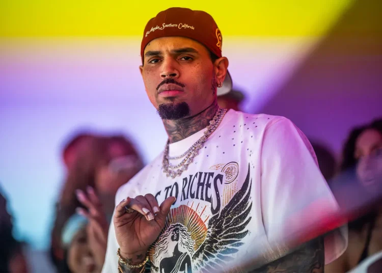 Chris Brown deberá pagar casi US$13 millones a empleada doméstica atacada por uno de sus perros