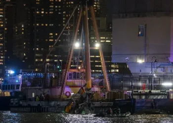 Un informe vincula impacto de aves en el accidente de helicóptero en el que murió familia española en Nueva York