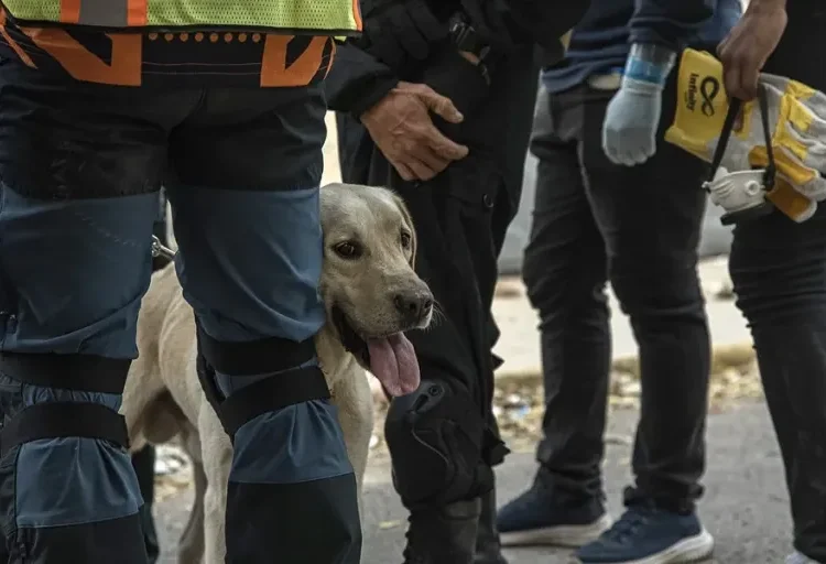Rescatistas intentan salvar a un niño de nueve años tras ocho días de los terremotos en Venezuela