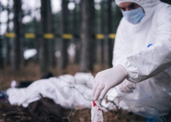 El proceso forense detrás de la identificación de cuerpos no identificados