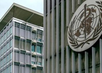 OMS: La sanidad debe incorporar a su planificación anual la preparación para calor extremo