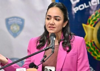 Faride Raful afirma que Gobierno acatará fallo del Tribunal Constitucional sobre decreto de horarios