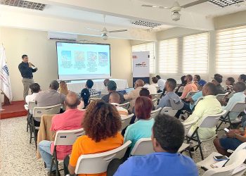 Edesur invertirá RD$962 millones para rehabilitar redes en Peravia