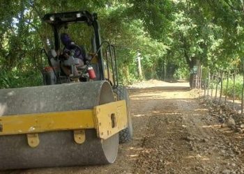 Agricultura interviene más de 300 kilómetros de caminos rurales para facilitar acceso a productos