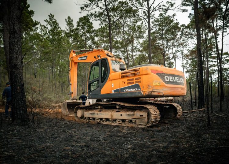 Medio Ambiente confirma control del 99 % del incendio forestal en la Sierra de Bahoruco
